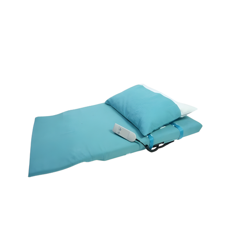 Electric Backrest Straightener