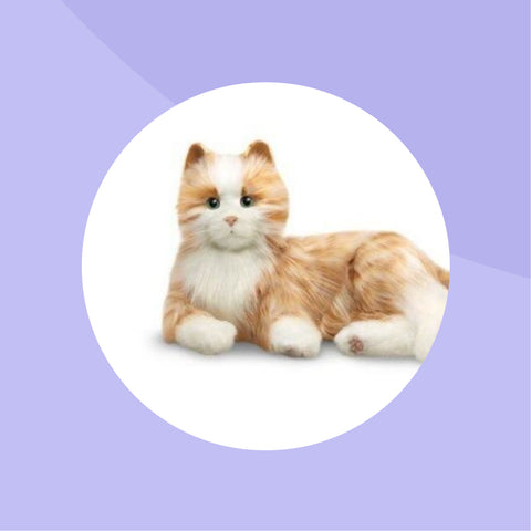 Sensory Stimulation To Enhance Life