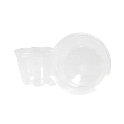 Severo® Medication Cups - Pack of 2,100