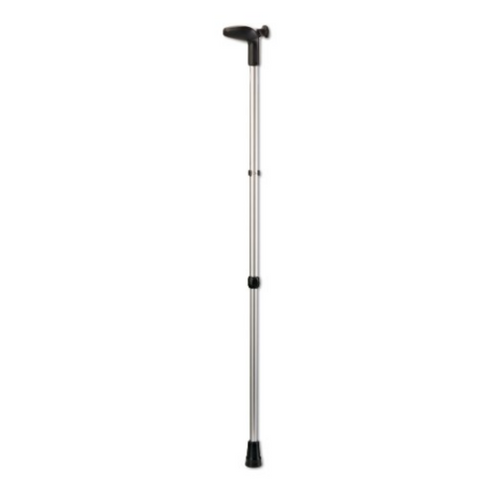 Anatom Walking Stick