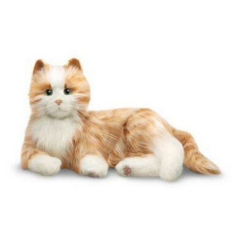 Companion Pet Cat