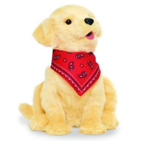 Companion Pet Golden Pup