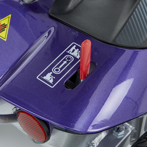 Evolite Folding Scooter