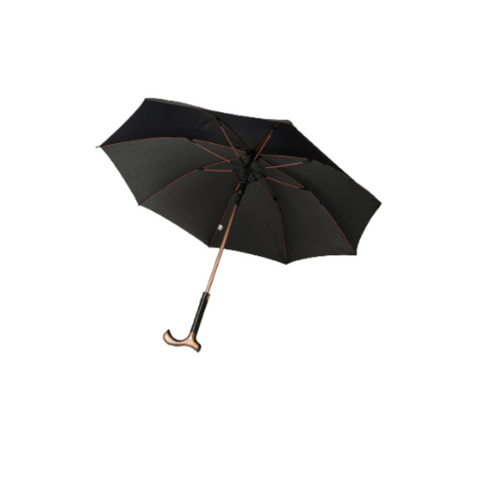 Umbrella Walking Stick