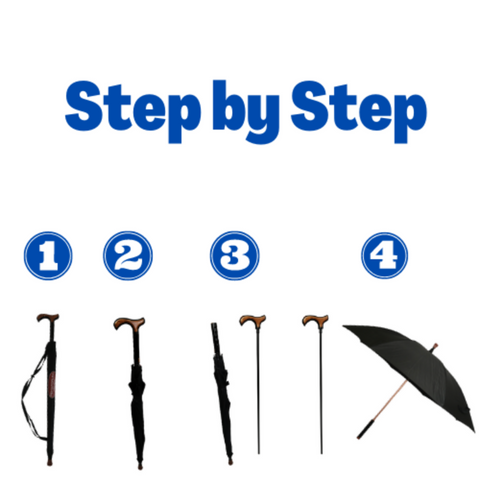 Umbrella Walking Stick